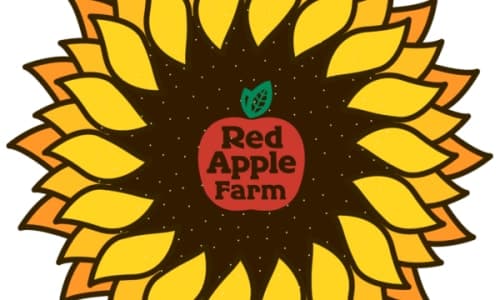 Sunflower Festival at Red Apple Farm thumbnail