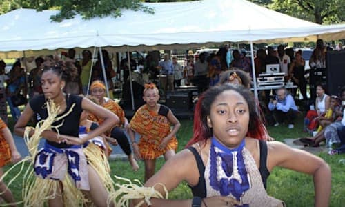 14th African Festival of Boston thumbnail