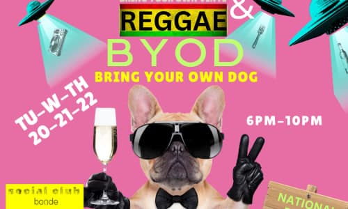 Bring Your Own Dog + Reggae Vinyl at the Bonde Social Club thumbnail