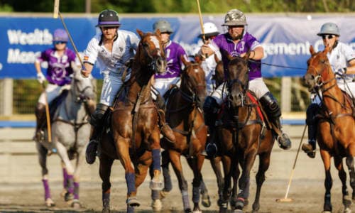 Sunset Polo at Great Meadow thumbnail