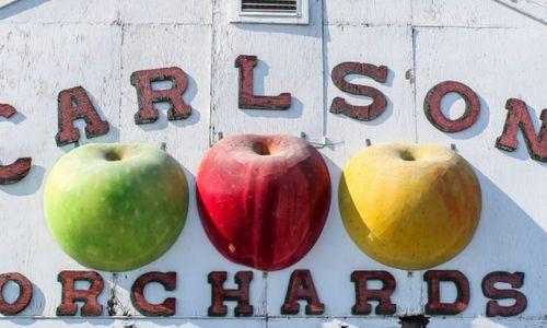 Apple Picking at Carlson Orchards thumbnail