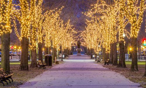Comm Ave Mall Holiday Lights: 2025-2026 Season thumbnail