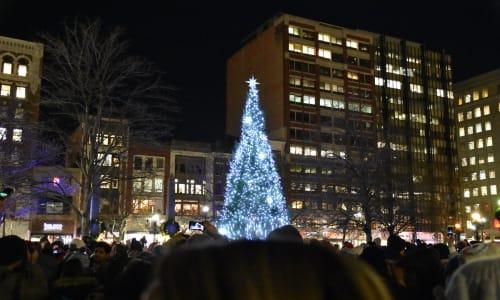 2025 Copley Square Tree Lighting thumbnail