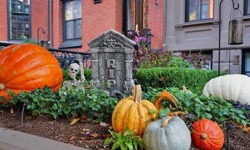The 12 Best Neighborhoods in Boston to See Halloween Decorations thumbnail