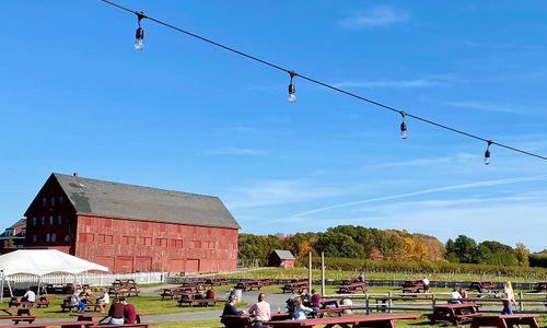 Apple Picking at Lookout Farm thumbnail