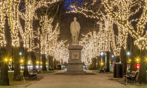 2025 Lighting Of The Commonwealth Avenue Mall thumbnail