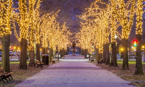 10+ Holiday Lighting Celebrations Coming to Boston in 2025 thumbnail