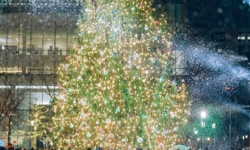 Light Up Seaport 2025 thumbnail