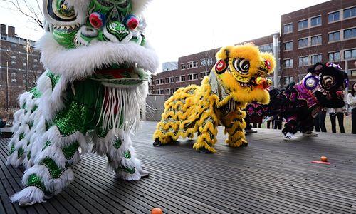 Lunar New Year at MIT Open Space thumbnail