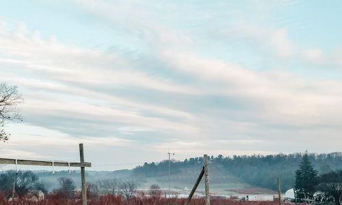 Winter Walking Tour at Cider Hill Farm thumbnail