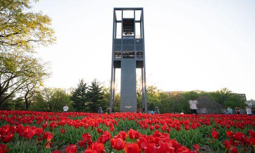 Netherlands Carillon | Bell Tower and Garden in Arlington thumbnail