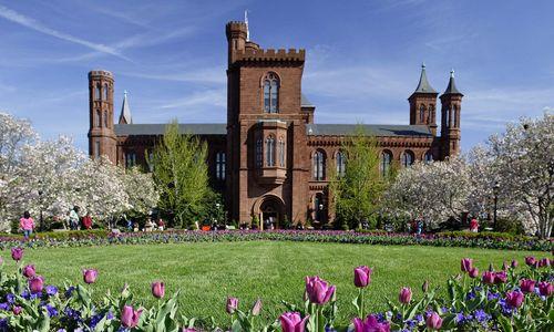 Enid A. Haupt Garden | Public Garden on the National Mall thumbnail