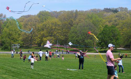 Franklin Park Kite & Bike Festival thumbnail