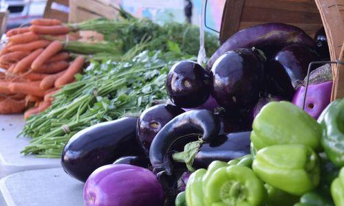 The Dudley Farmers Market thumbnail