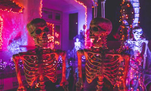 Pirate Speed Dating - Mindful & Fun thumbnail