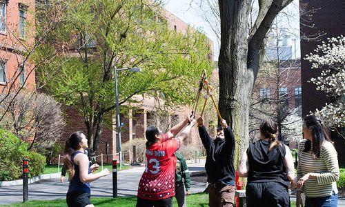 Harvard Museums of Science & Culture: Free Admission on Indigenous Peoples’ Day thumbnail