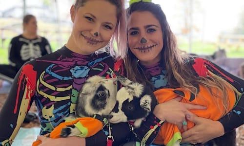 Halloween Costume Goat Yoga thumbnail