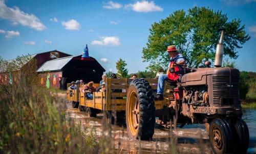 Cox Farms: Fall Festival Tickets thumbnail