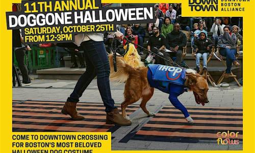 Doggone Halloween thumbnail