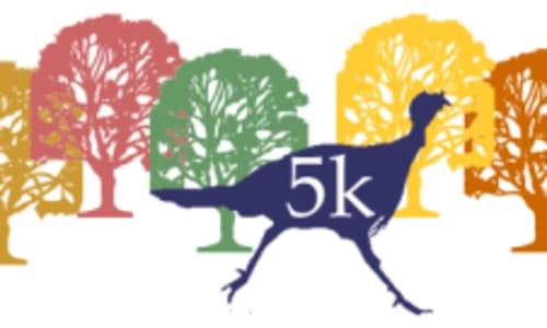 2025 Franklin Park Turkey Trot thumbnail