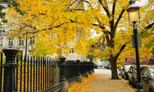 Reach 15,000 Bostonians in 24 hours with The Boston Calendar's Instagram Stories thumbnail