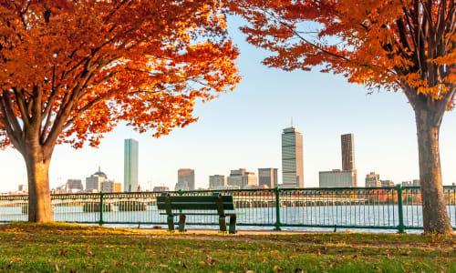 90 things to do in Boston this weekend thumbnail