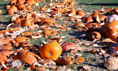 The Great Pumpkin Smash thumbnail