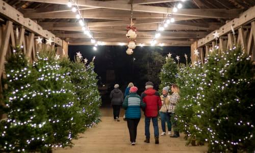 Christmas by Candlelight thumbnail