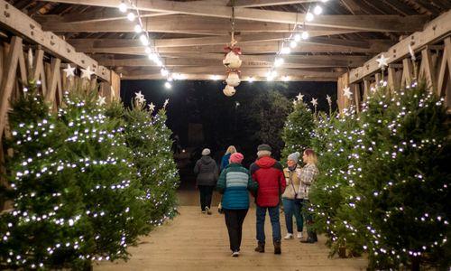 Christmas by Candlelight thumbnail