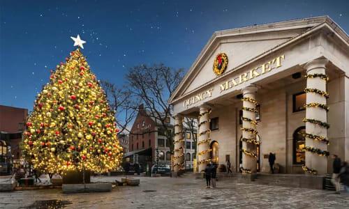 64 things to do in Boston for $10 or less: November 2025 thumbnail