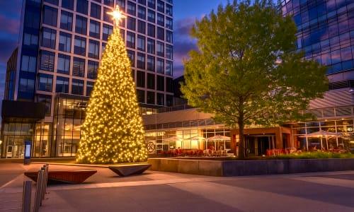 Boston Landing Holiday Tree Lighting thumbnail