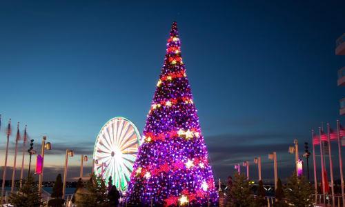 FREE Nightly Tree Lighting Show at National Harbor thumbnail