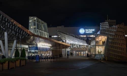 Aquarium After Dark: Adults Edition thumbnail