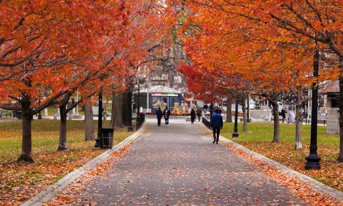 77 things to do in Boston this weekend thumbnail