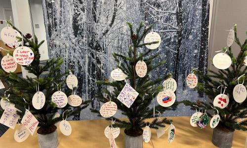 December Vacation Week at Discovery Museum at Discovery Museum thumbnail