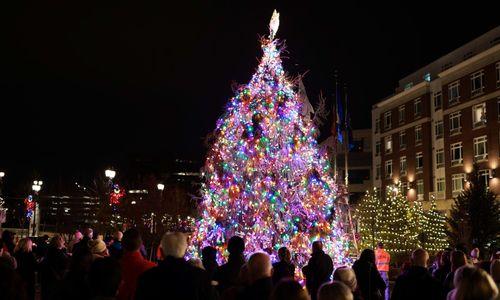 Generals Bridge & Park Tree Lighting thumbnail