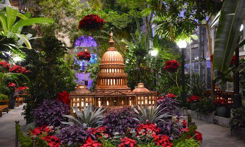 Season's Greenings: Dino-Mite! 2025 thumbnail