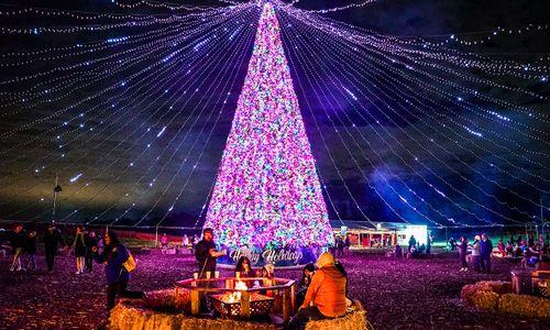 Winter City Lights thumbnail