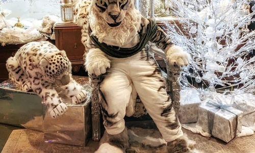 The Yule Cat Gives Back - A Nordic Holiday Event thumbnail