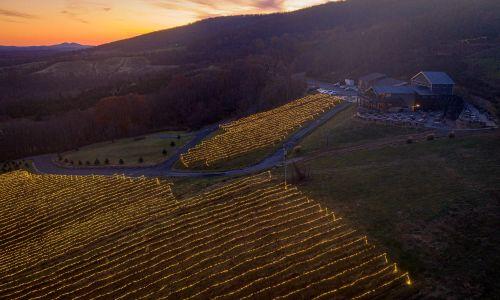 Lighting of the Vines Holiday Lights at Bluemont Vineyard thumbnail