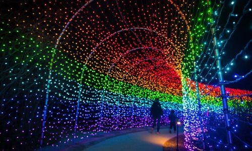 Night Lights at New England Botanic Garden: Dazzling Gardens thumbnail