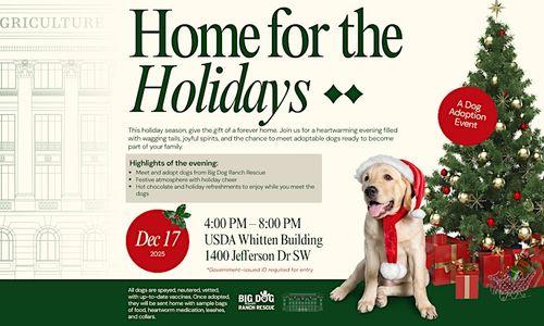 Home for the Holidays: A Dog Adoption Event thumbnail