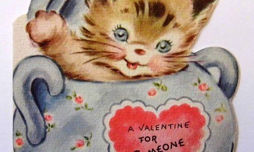 Harvard Square In Love: A Walking Tour thumbnail