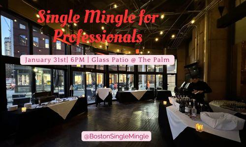 Single Mingle for Young Professionals thumbnail