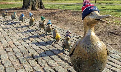 72 things to do in Boston this weekend thumbnail