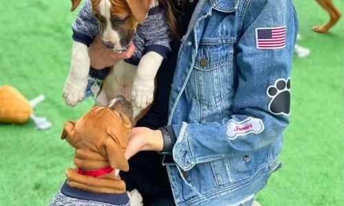 Polkadog Puppy Bowl 2026 thumbnail