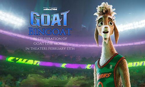 BINGOAT X Goat The Movie: Goats + Bingo thumbnail