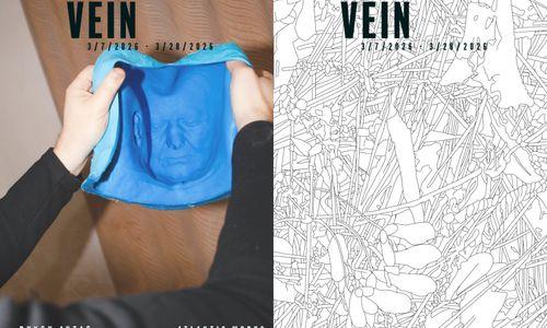 Third Thursday Reception and Artist Talk: SMALL VEIN by Leigh Hall & Duygu Aytac thumbnail