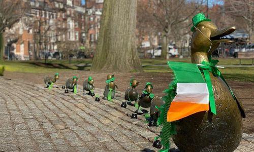 73 things to do in Boston for $10 or less: March 2026 thumbnail