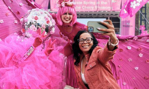 Bloomaroo at The Wharf thumbnail